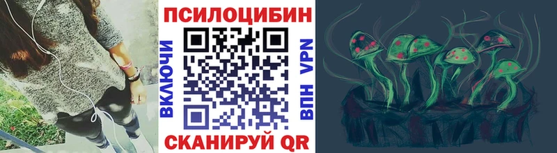 где купить наркотик  Фролово  Псилоцибиновые грибы Magic Shrooms 